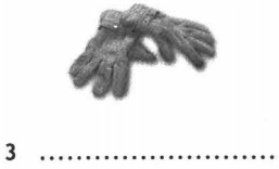 Задание рисунок 4