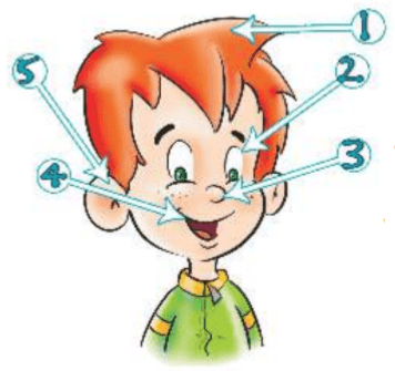 Задание рисунок 1