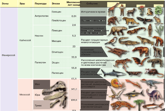 Задание рисунок 1