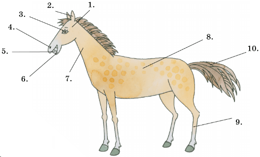 Задание рисунок 1